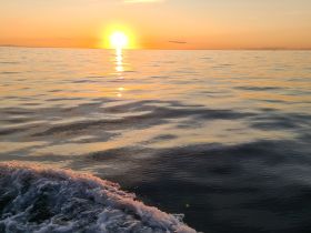 20210803_204829.jpg